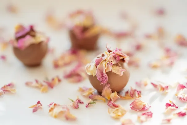 Kazino Paradise Win Android/iOS programa